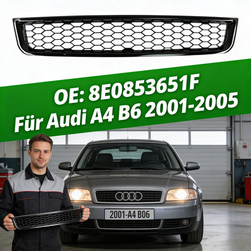 Waben sport vorne - sport, glanz